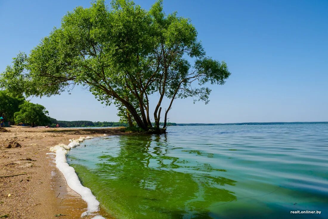 Минск море фото Не ожидали? А оно позеленело! Вода в Минском море уже не та