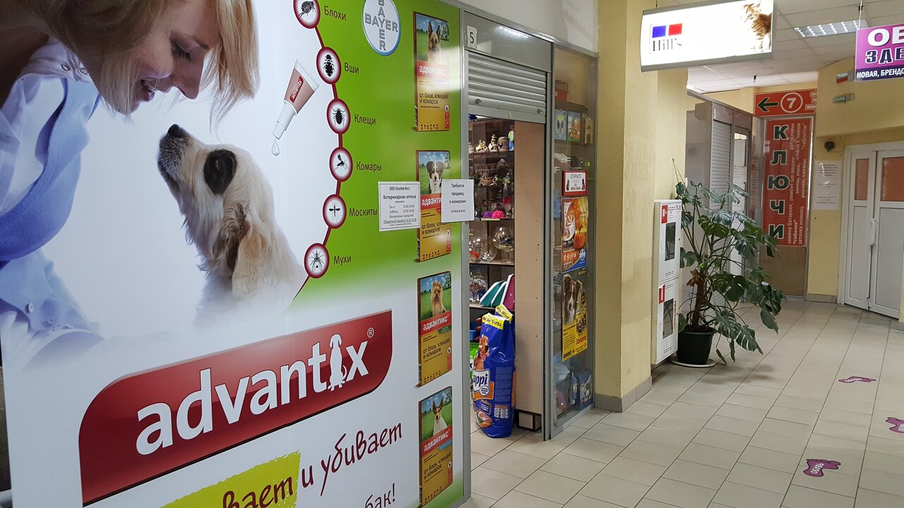 Минск проспект пушкина 12а фото ГиперZOO, veterinary pharmacy, Belarus, Minsk, praspiekt Puškina, 12А - Yandex M