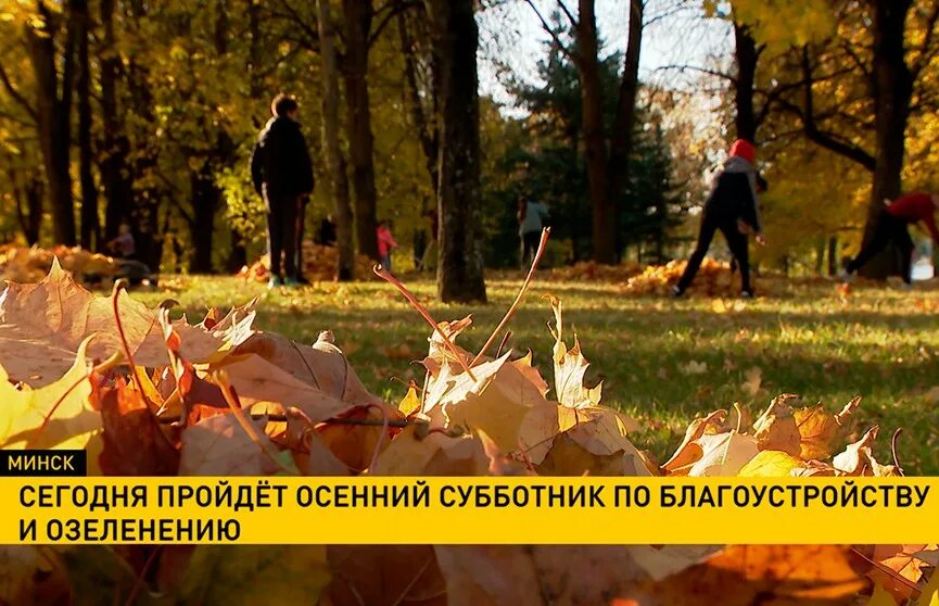 Минск сегодня 1 октября фото города люди 9 октября в Минске проходит осенний субботник