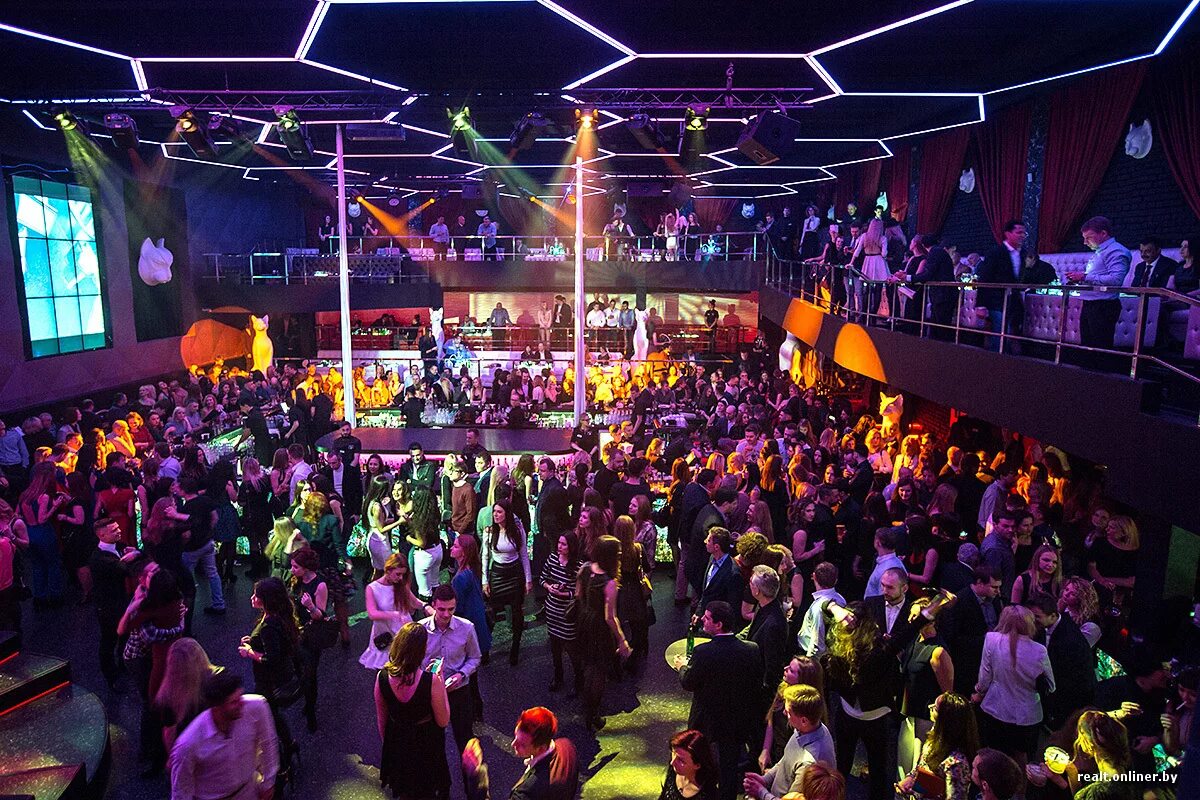 Минские клубы фото Фоторепортаж: в Минске на месте "Реактора" открылся Rich Cat Club