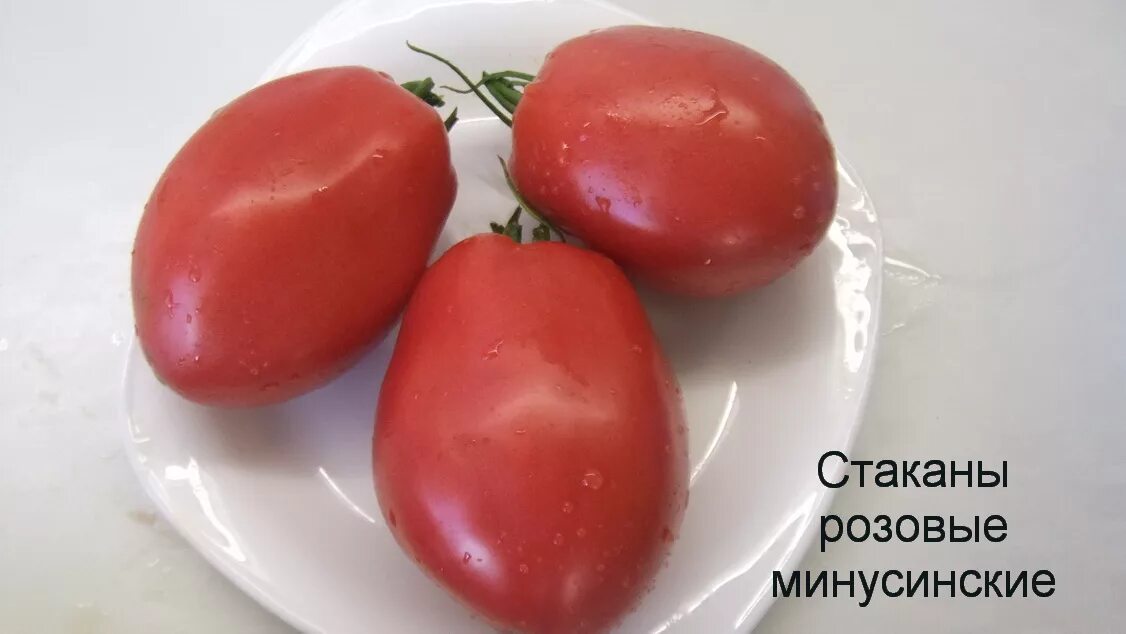 Минусинские стаканы томат описание отзывы фото Минусинские стаканы томат отзывы - CormanStroy.ru