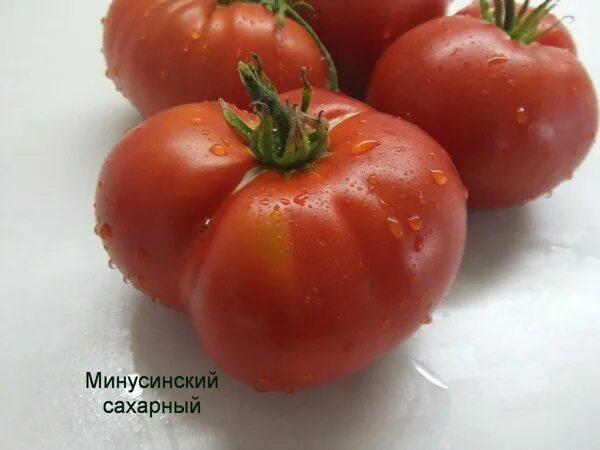 Минусинские томаты сорта фото Томаты томатов_красный - купить по выгодным ценам в интернет-магазине OZON (7267