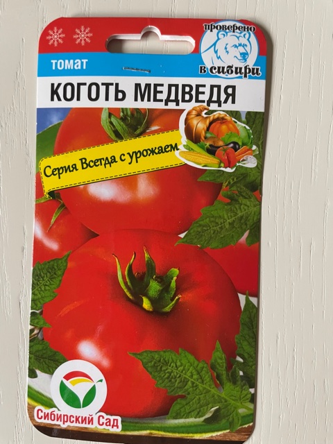 Минусинский медведь отзывы фото урожайность Томат Коготь Медведя