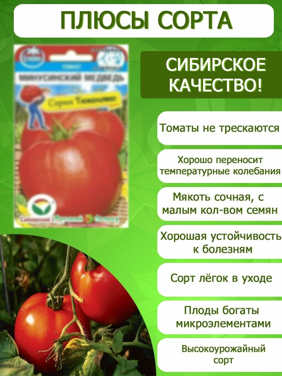 Минусинский медведь отзывы фото урожайность Семена Томат Минусинский медведь (20шт) - купить в интернет-магазине по низкой ц