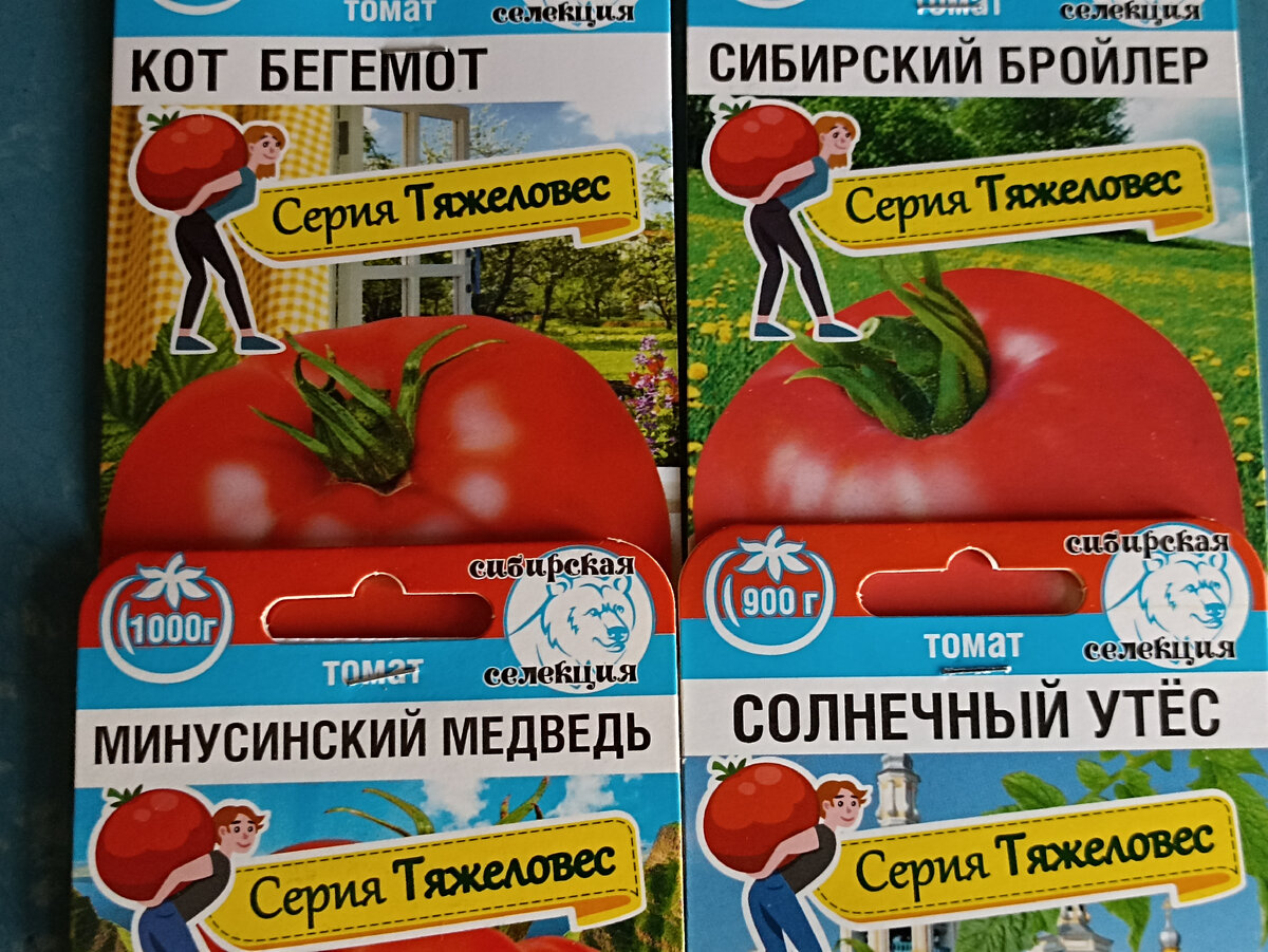 Минусинский медведь отзывы фото урожайность Минусинский медведь томат отзывы фото - Profhobby.ru