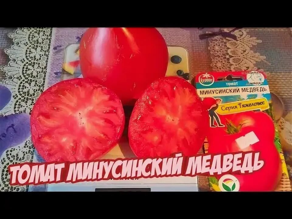 Минусинский медведь томат отзывы фото Томат - Минусинский медведь . - YouTube