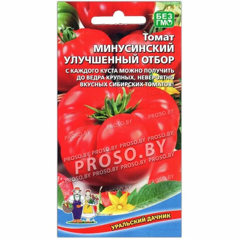 Минусинский медведь томат отзывы фото Купить семена Томат Минусинский улучшенный отбор в Минске и почтой по Беларуси