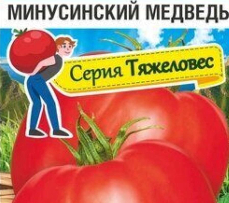 Минусинский медведь томат отзывы фото описание Томат минусинский медведь отзывы описание сорта фото - Arhids.ru