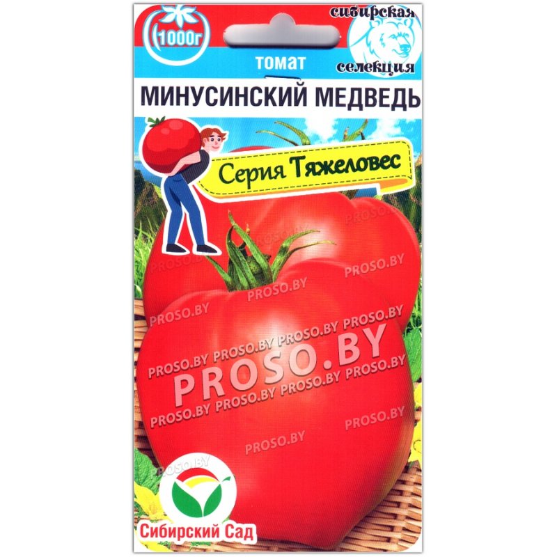 Минусинский медведь томат отзывы фото урожайность характеристика Купить семена Томат Минусинский медведь в Минске и почтой по Беларуси