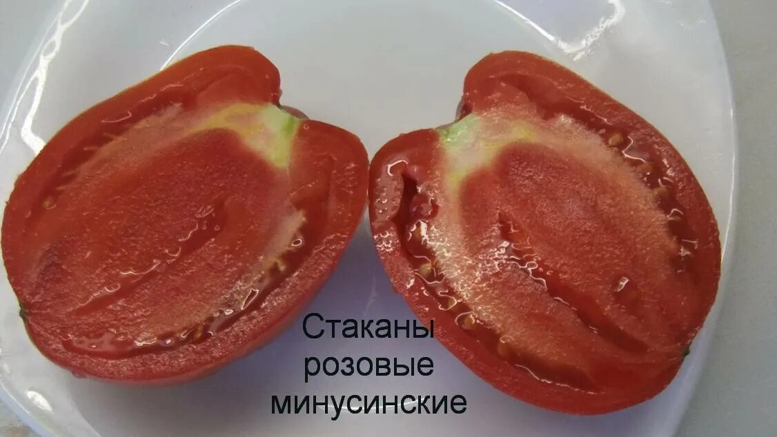 Минусинский стакан томат описание сорта фото Сорт томата минусинские стаканы описание: найдено 89 изображений