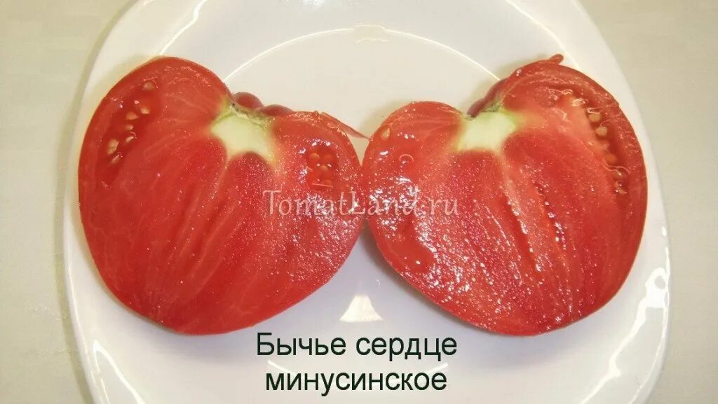 Минусинское бычье сердце томат отзывы фото Томат Бычье сердце Минусинское: описание сорта, отзывы, фото