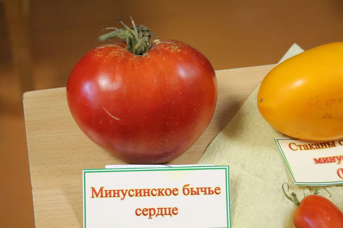 Минусинское бычье сердце томат отзывы фото Томат 'Бычье сердце минусинское' BOTSAD.BY
