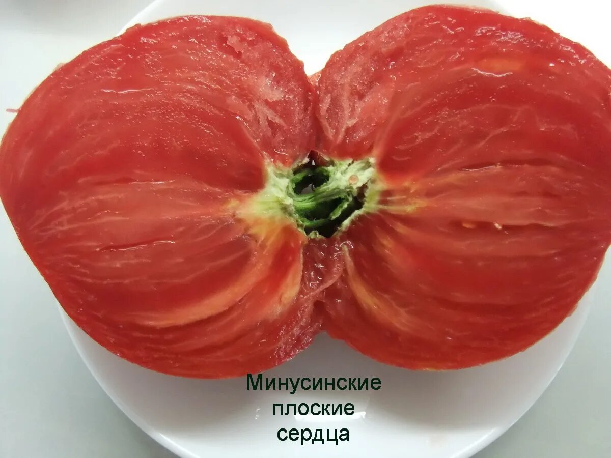 Минусинское сердце томат фото Томат минусинские сердца отзывы фото урожайность: найдено 88 изображений