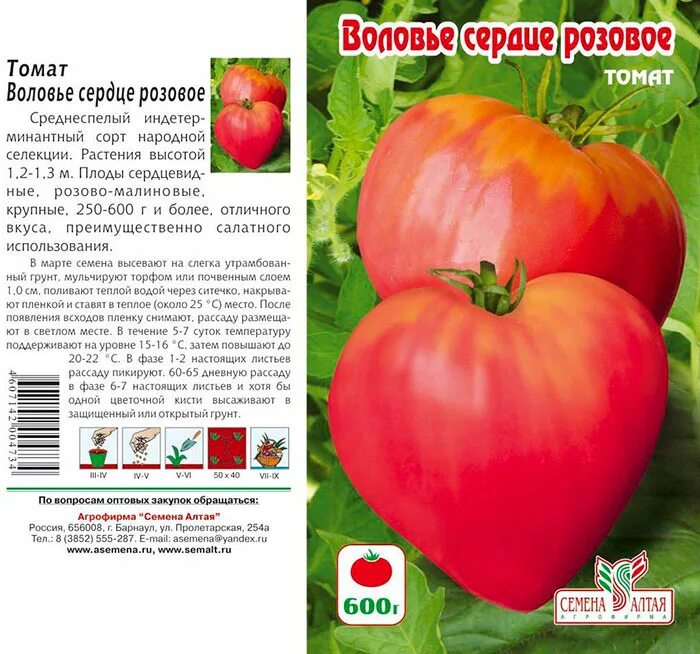 Минусинское воловье сердце томат отзывы фото Томат "Воловье сердце" - eТеплица