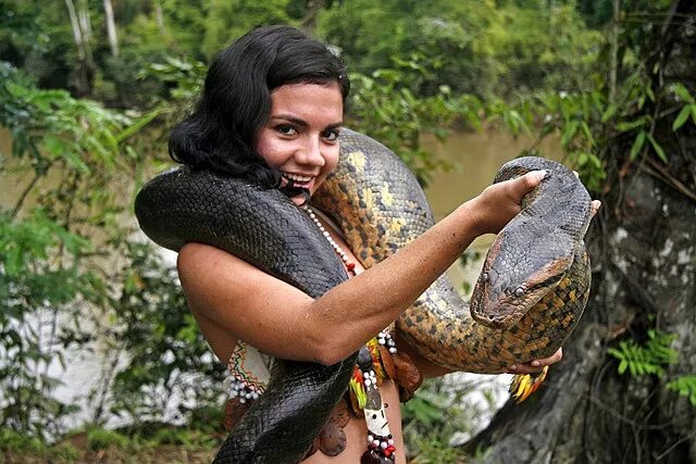 Мир анаконда фото Wildlife, Iquitos, Peru Iquitos, Peru, Peruvian women