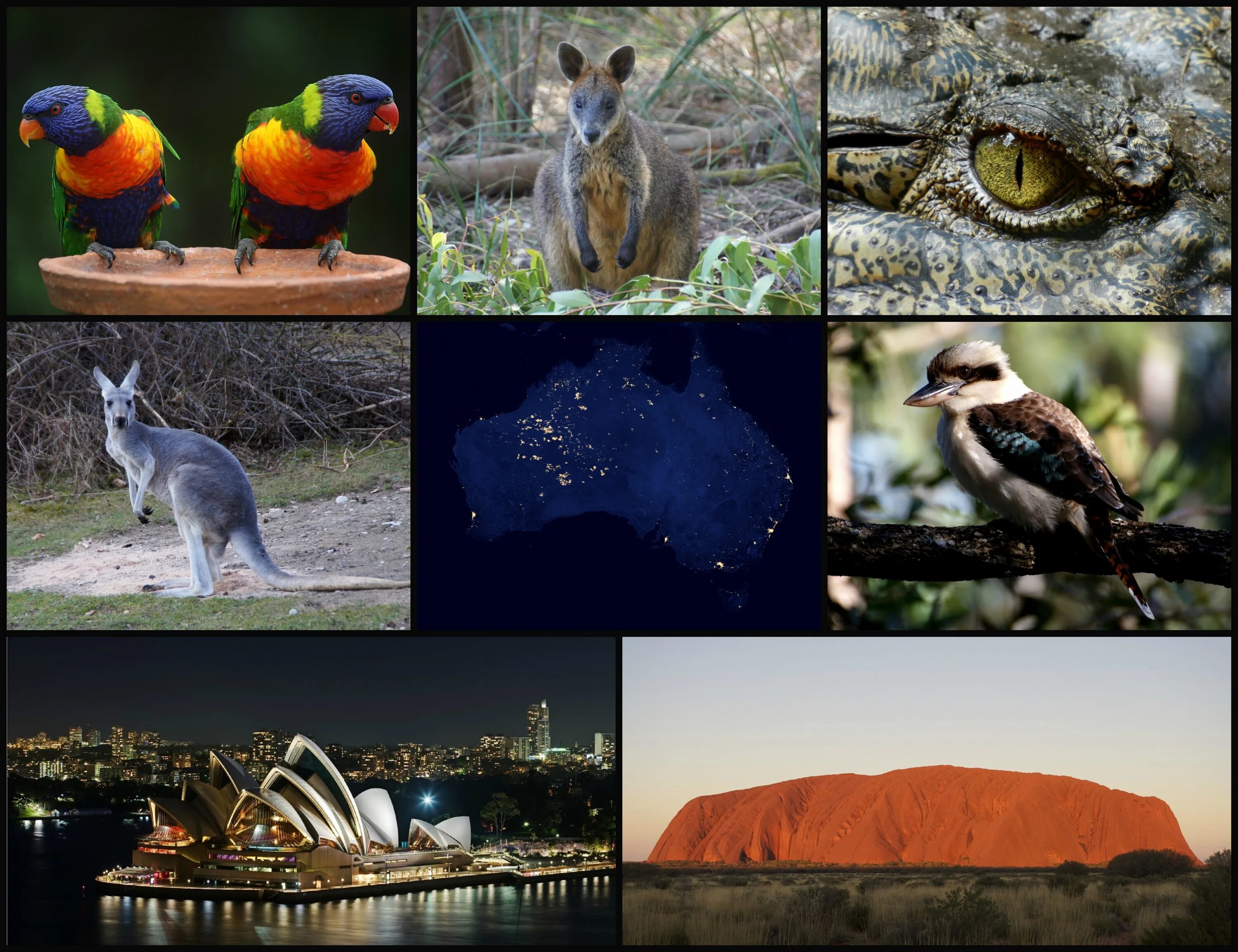Мир австралии фото Australia Collage Images Iconic free image download