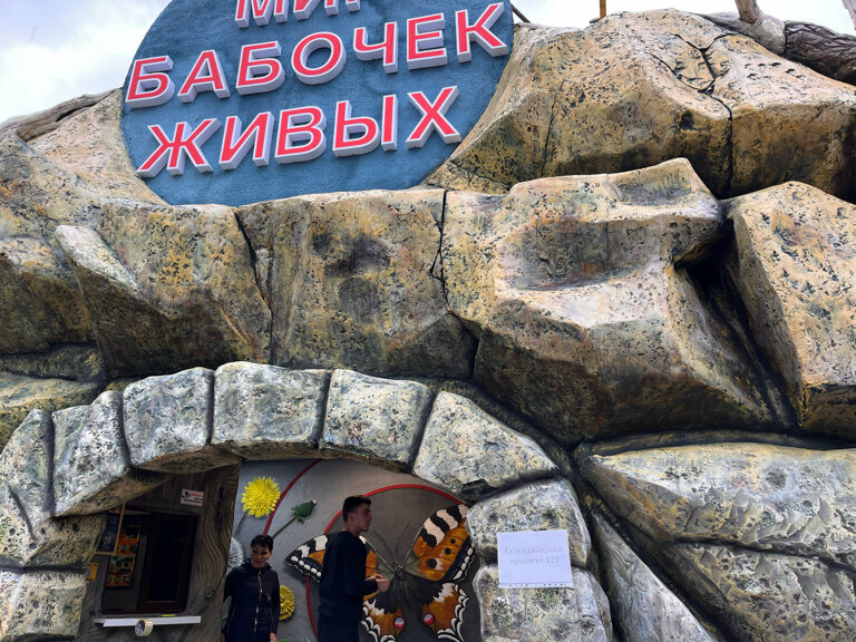 Мир бабочек живых геленджикский просп 129 фото Мир бабочек живых, зоопарк, Геленджикский просп., 129, Геленджик - Яндекс Карты