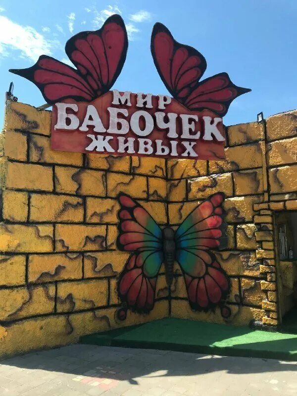 Мир бабочек живых пионерский просп 38б фото Особенности зоопарка Мир Бабочек Живых в Анапе, Красноармейская улица, 2Б - Янде