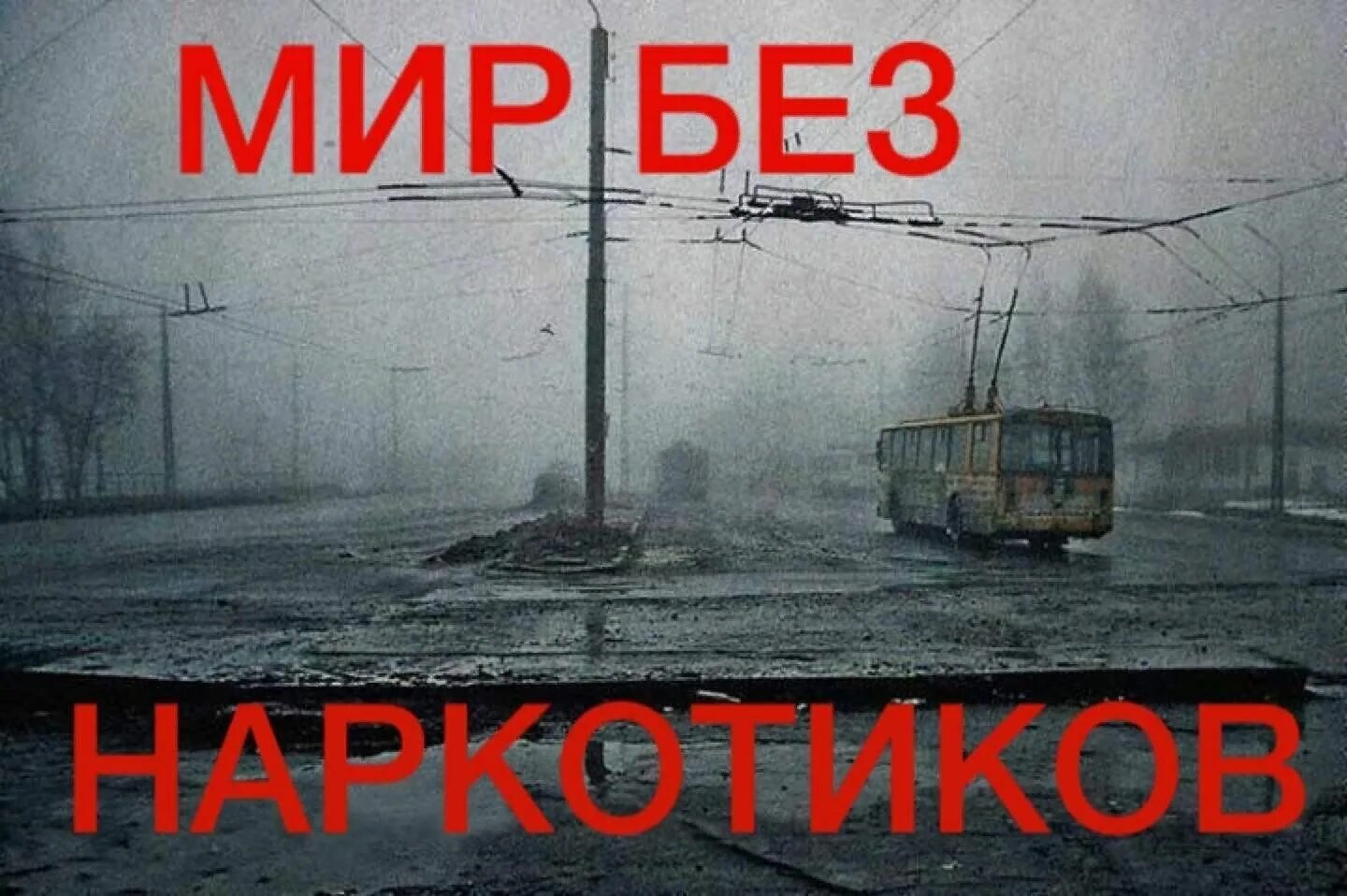 Мир без всего фото Мир без наркотиков" Антинаркотическая акция 2023, Чистопольский район - дата и м