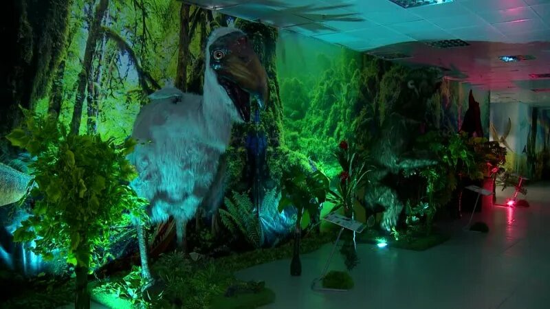 Мир динозавров красная ул 29 фото In Yaroslavl opened an exhibition of dinosaurs https://1yar.tv/article/v-yarosla