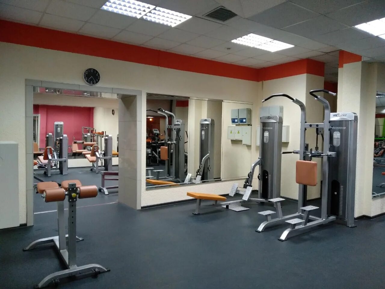 Мир фитнеса фото Мир fitness: найдено 88 картинок