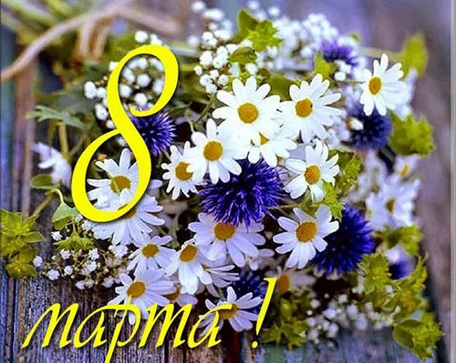 Мир фото 8 марта С праздником весны - Женским днем 8 марта! - Федерация фигурного катания на конь