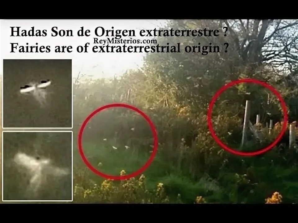 Мир фото настоящий Hadas Son de Origen extraterrestre - YouTube