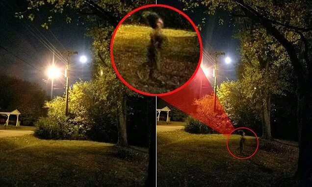 Мир фото настоящий Mystery over spooky figure that appears in snap taken under the full moon