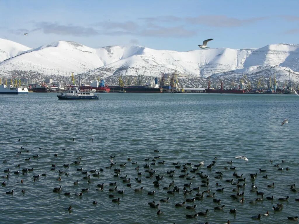 Мир фото новороссийск Фото In the bay / В бухте в городе Новороссийск