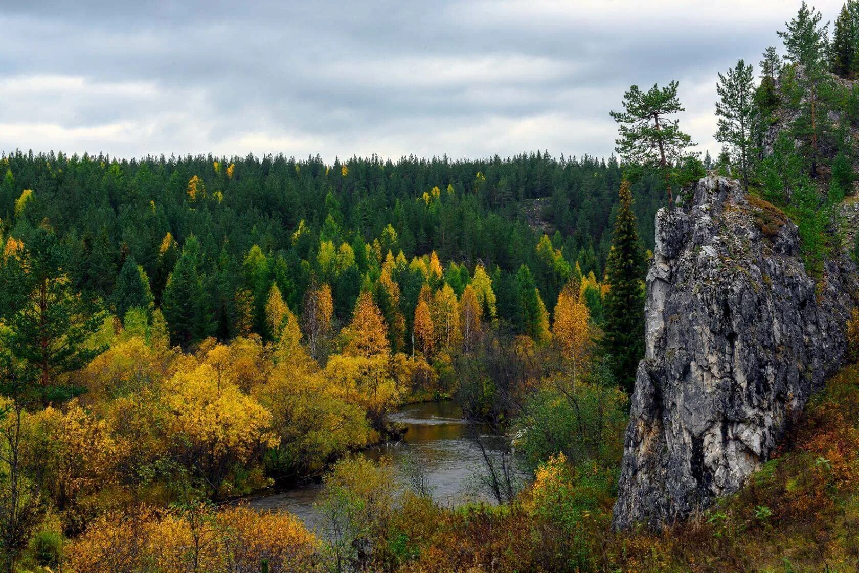 Мир фото уральская Иван-чай "Копчёный" - Берлога
