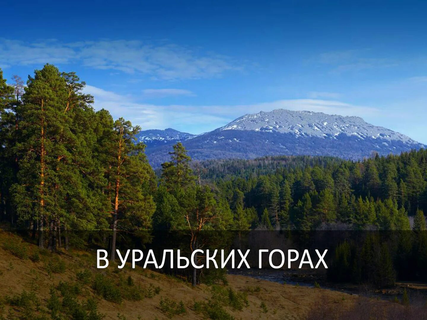 Мир фото уральская В Уральских горах - смотрите на Наша сибирь HD 11.09 в 22:30 ТВ Mail