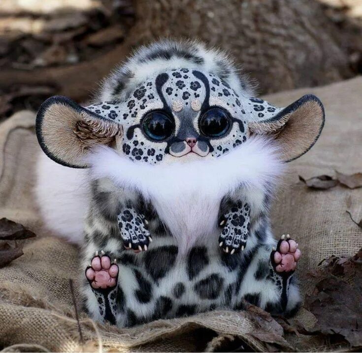 Мир фото вк Pin by Jason Motlagh on Random Stuff Cute animals, Cute baby animals, Baby anima