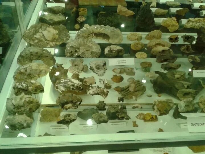 Мир камня ул ползунова 39 барнаул фото Мир камня, туристическая компания на улице Ползунова в Барнауле - Zoon