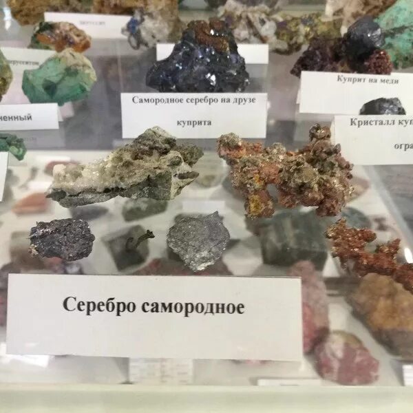 Мир камня ул ползунова 39 барнаул фото Фотографии компании Мир камня, музей в Барнауле на улица Ползунова, 39