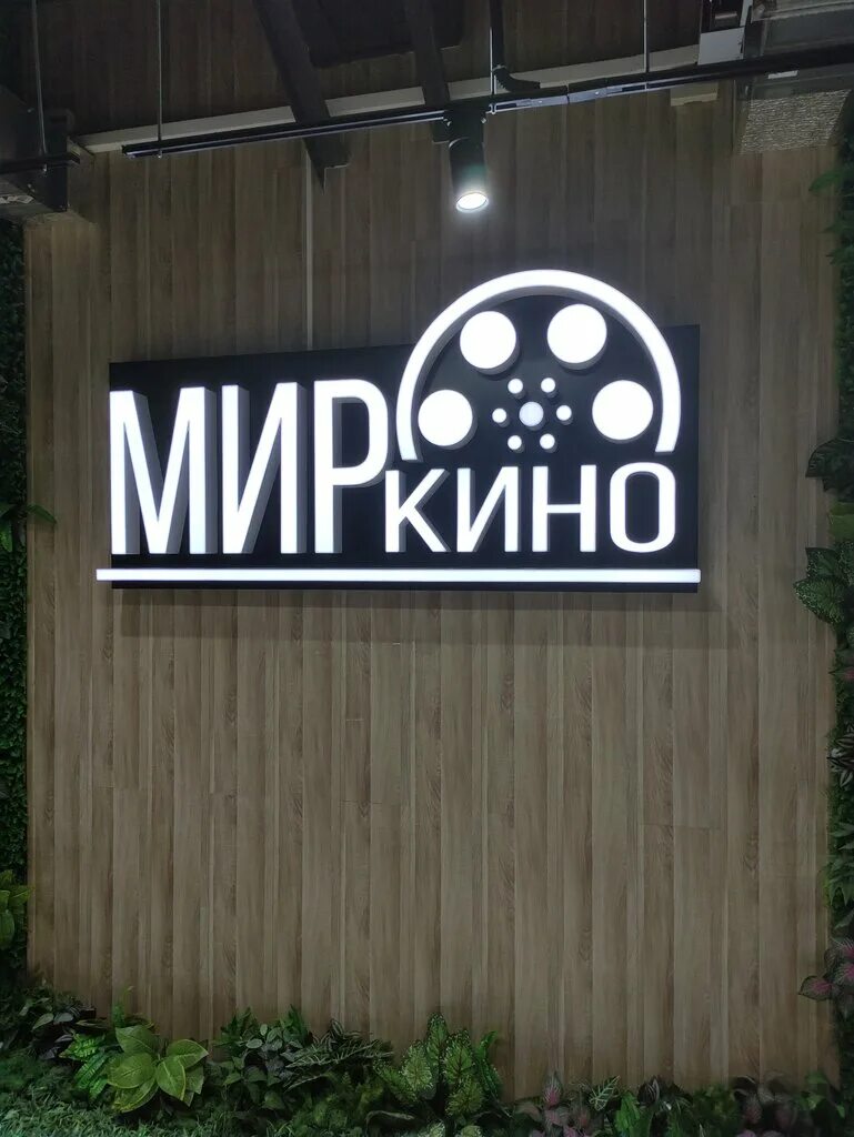 Мир кино ул адмирала фадеева 48 фото Мир кино, кинотеатр, ул. Адмирала Фадеева, 48, Севастополь - Яндекс Карты