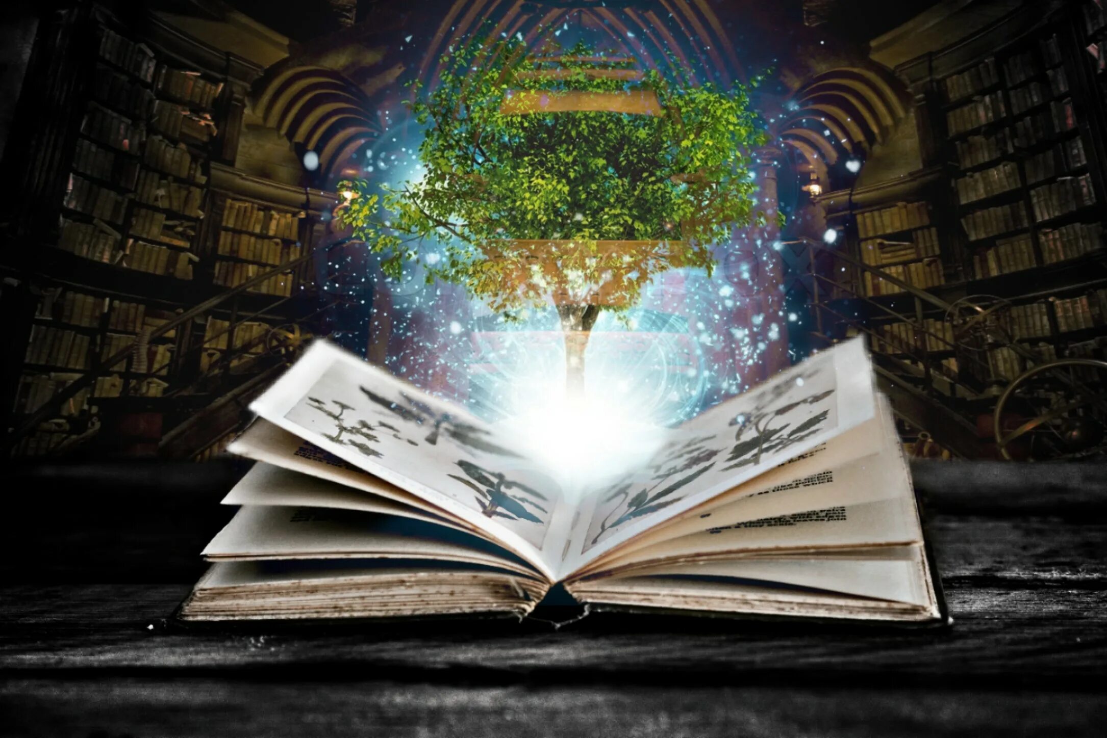 Мир книг фото хочется жить: #за_страницей #забег_волонтёра За окном наконец-то идёт снег, на с