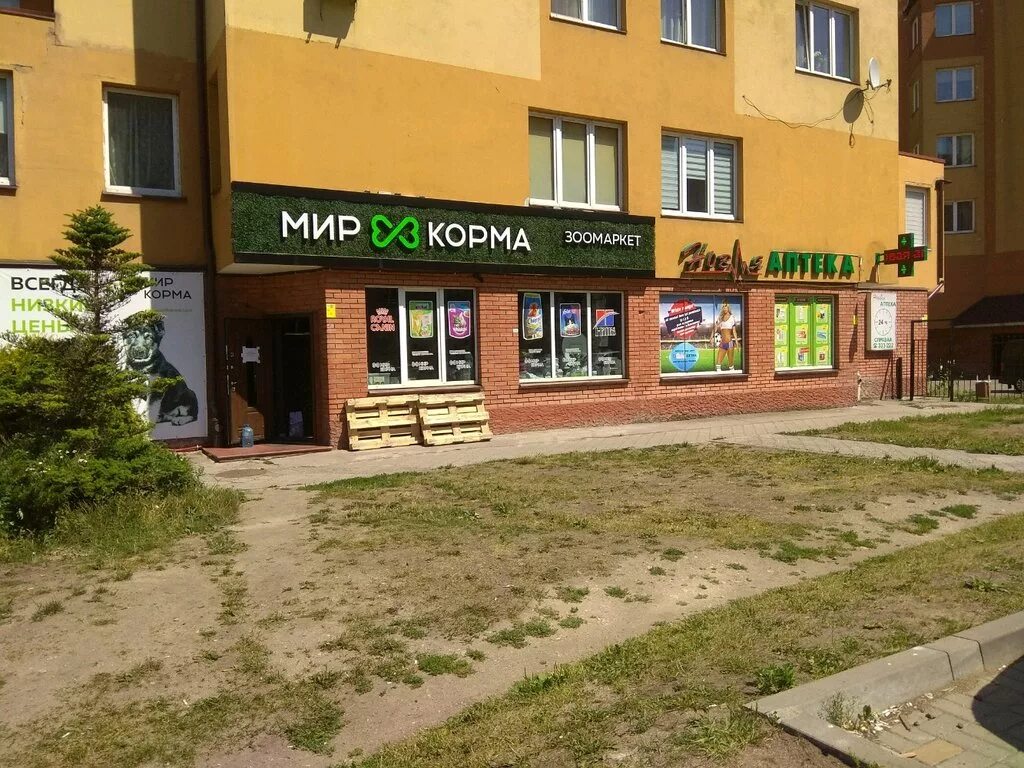 Мир корма ул гайдара 8 фото Мир Корма, зоомагазин, Луговая ул., 1, корп. 2, Калининград - Яндекс Карты