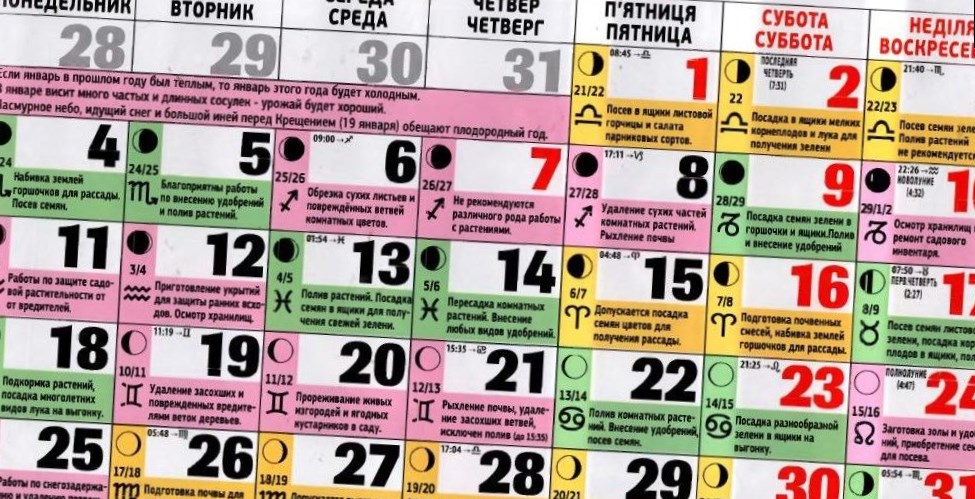 Мир космоса календарь стрижек октябрь 24 года Мир космоса лунный календарь на июль 24