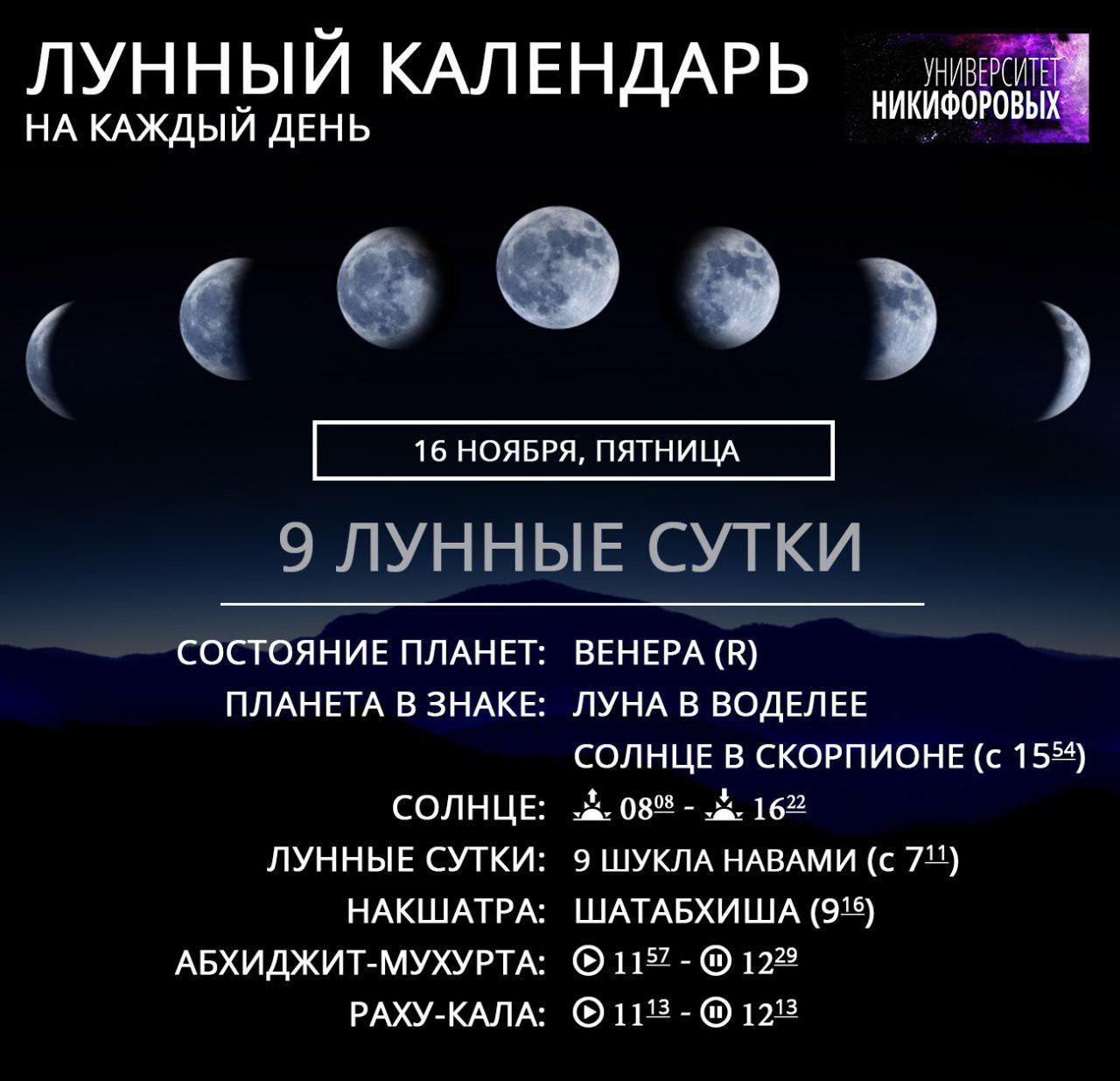 Мир космоса календарь стрижки 2024 Календарь стрижек на июль 2024 мир космоса