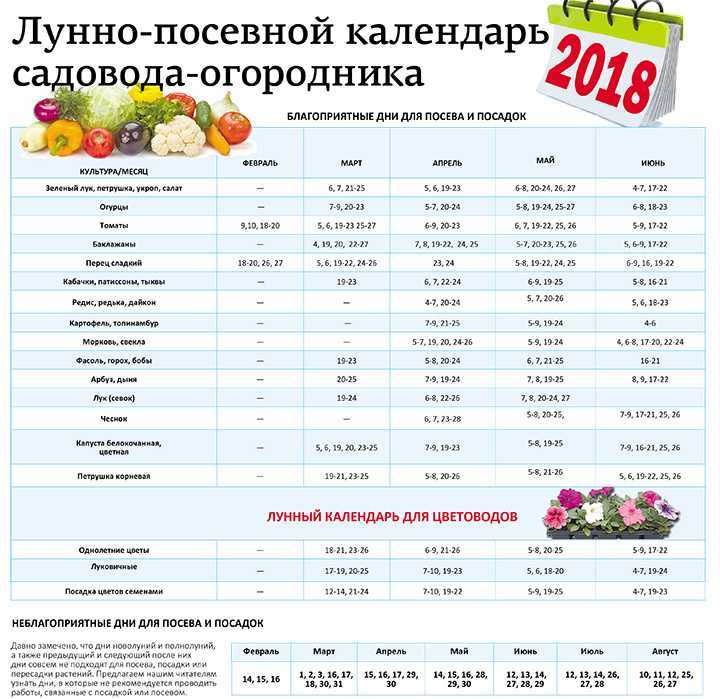 Мир космоса лунный календарь садовода на 2024 Таблица календарь садовода 2024