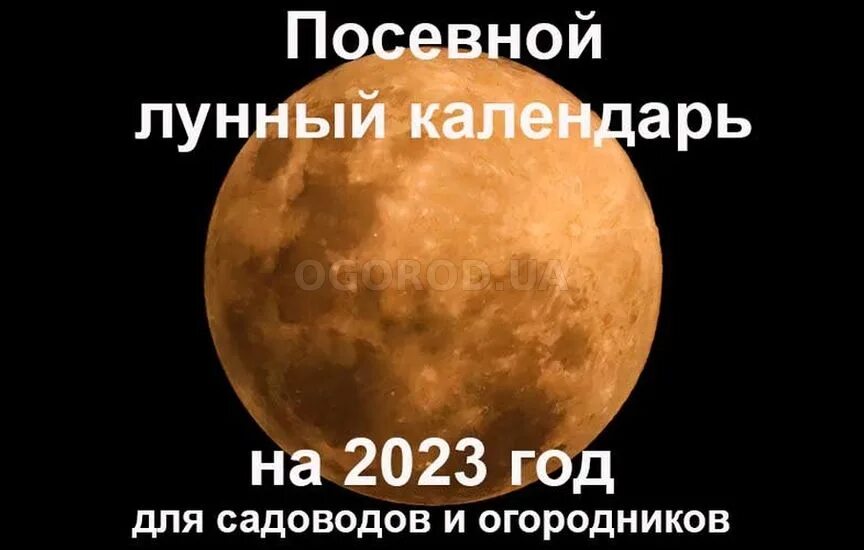 Мир космоса лунный календарь садовода октябрь 2024 ОГОРОДный блог - OGOROD.ua - сайт для дачников, садоводов и огородников
