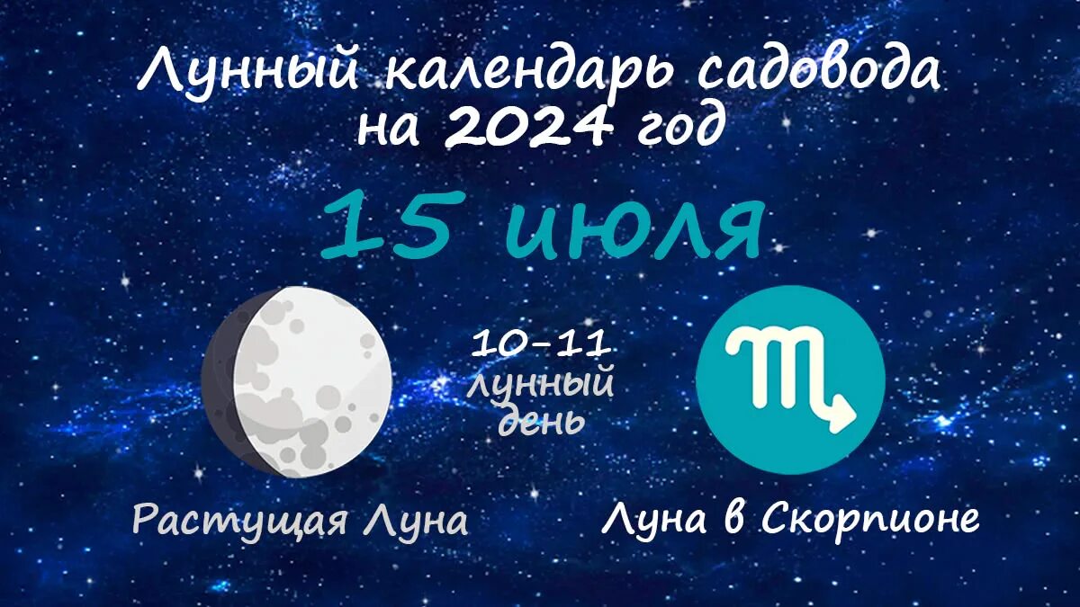 Мир космоса лунный календарь садовода октябрь 2024 Лунный календарь красоты на июль 2024
