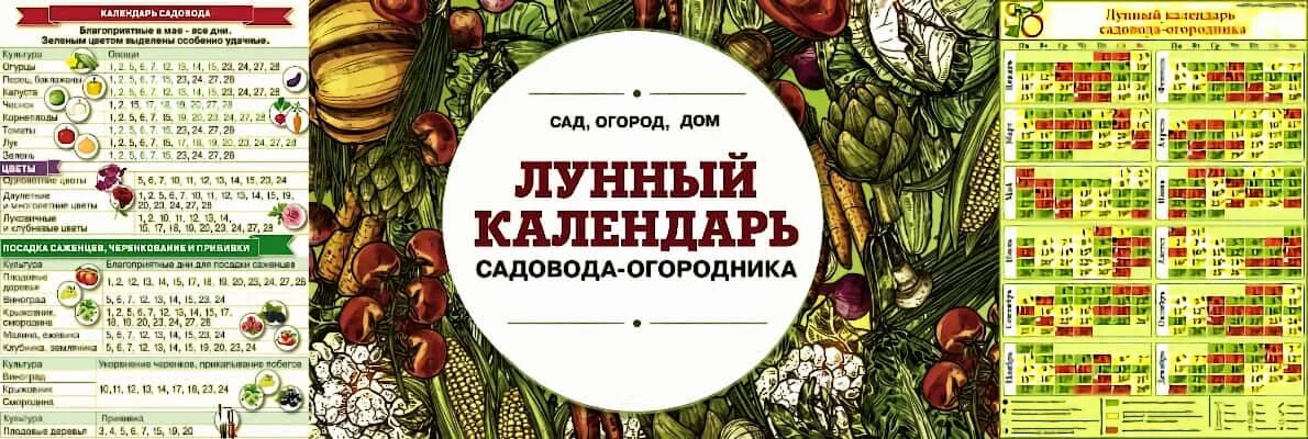 Мир космоса лунный календарь садовода октябрь 2024г Лунный посевной календарь садоводов и огородников
