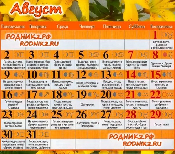 Мир космоса лунный календарь садовода сентябрь 2024г Календарь огородника на август 2024г посевной подмосковье