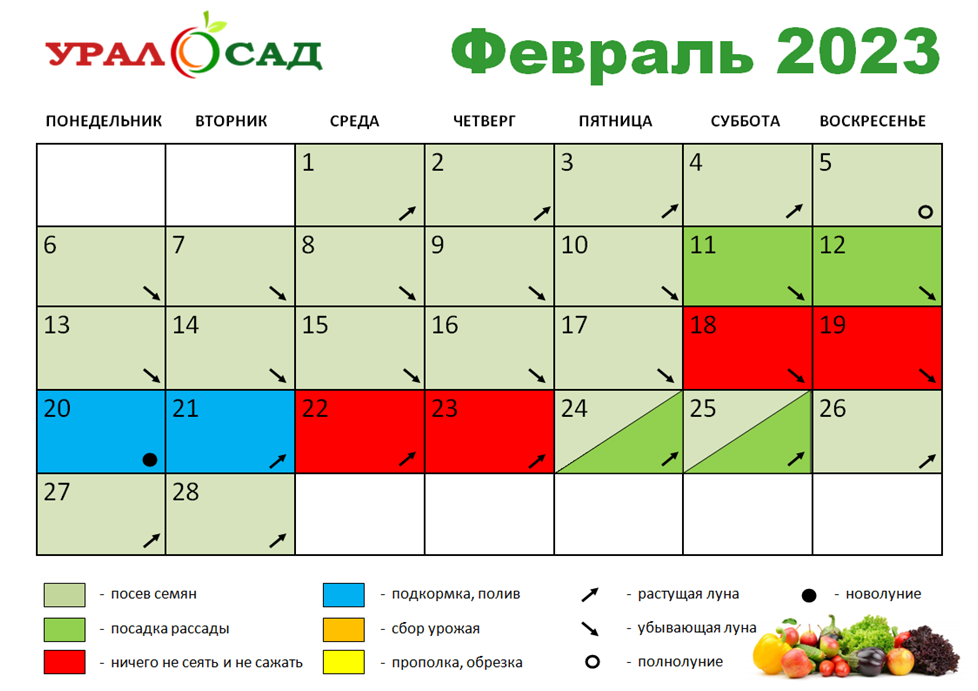 Мир космоса лунный календарь стрижек на 2023 Лунный календарь для садоводов на 2023 год