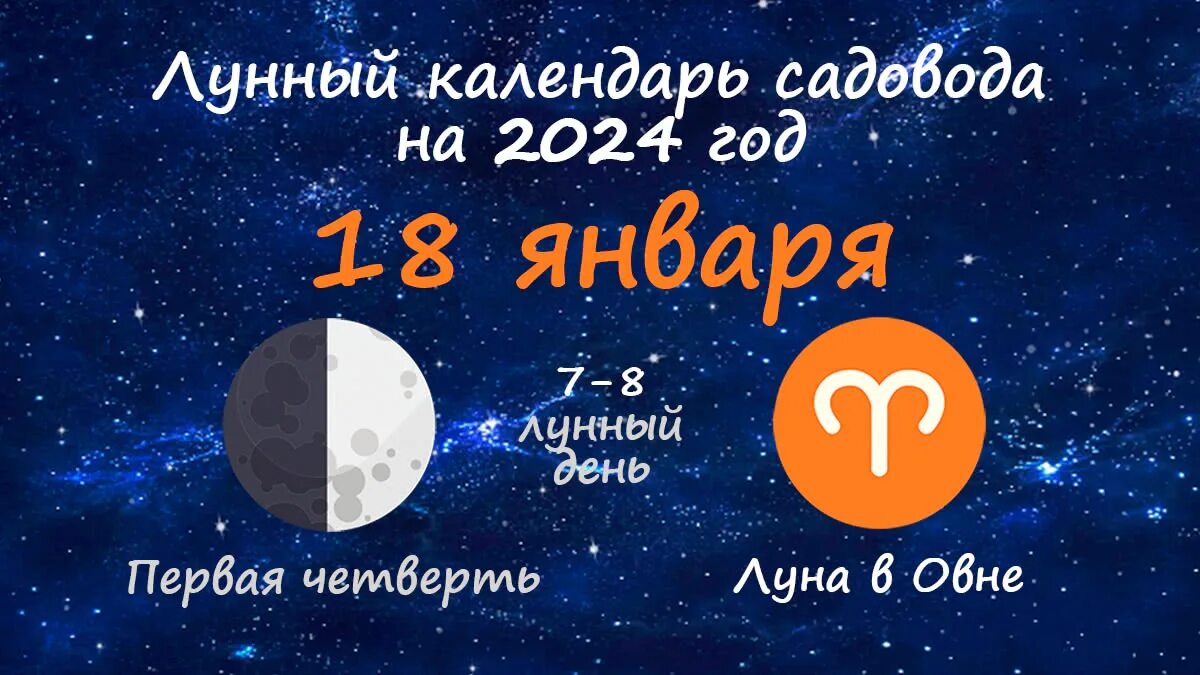 Мир космоса лунный посевной календарь на 2024 Календарь огородника на январь 2024 года