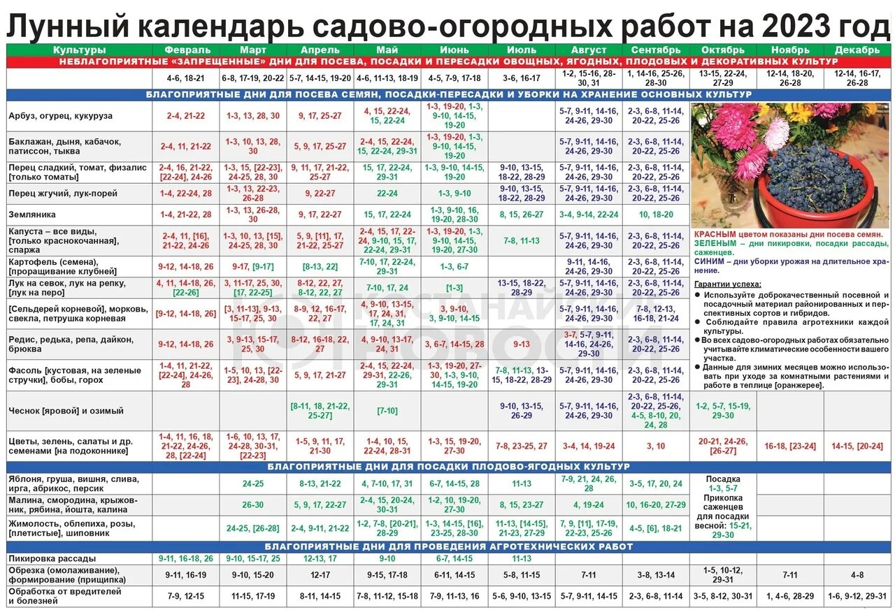 Мир космоса лунный посевной календарь на 2024 Дачный календарь огородника фото - DelaDom.ru