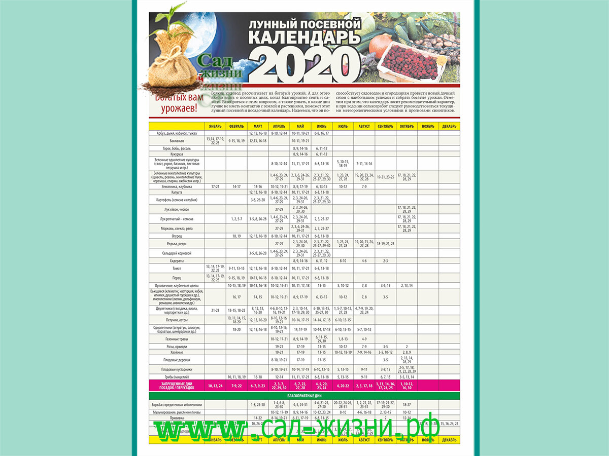 Мир космоса посевной календарь на 2024 год Календарь огородника на июль мир космоса 2024: найдено 75 изображений