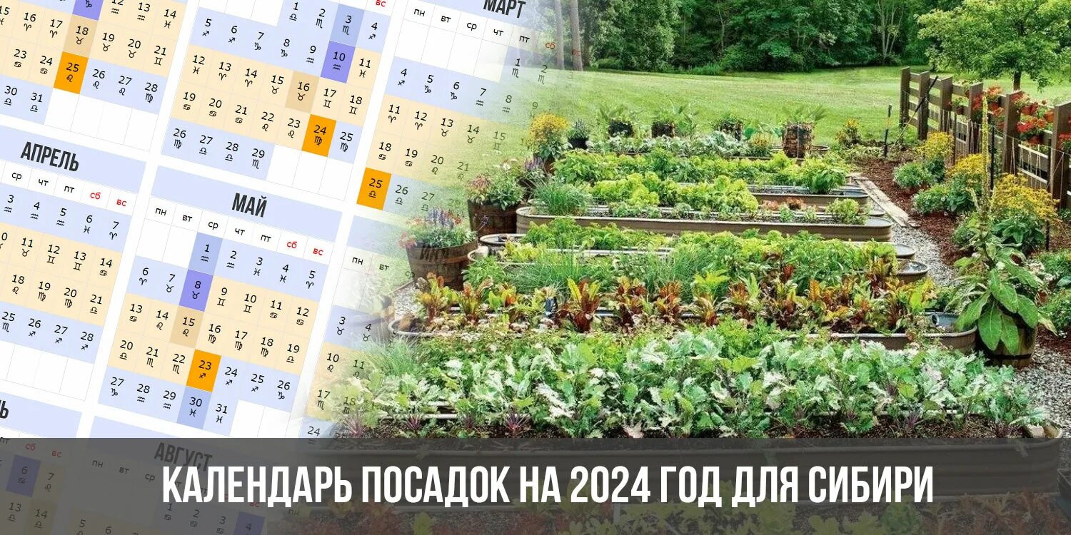 Мир космоса посевной календарь на 2024 год Календарь посадок на 2024 год для Сибири лунный, посевной