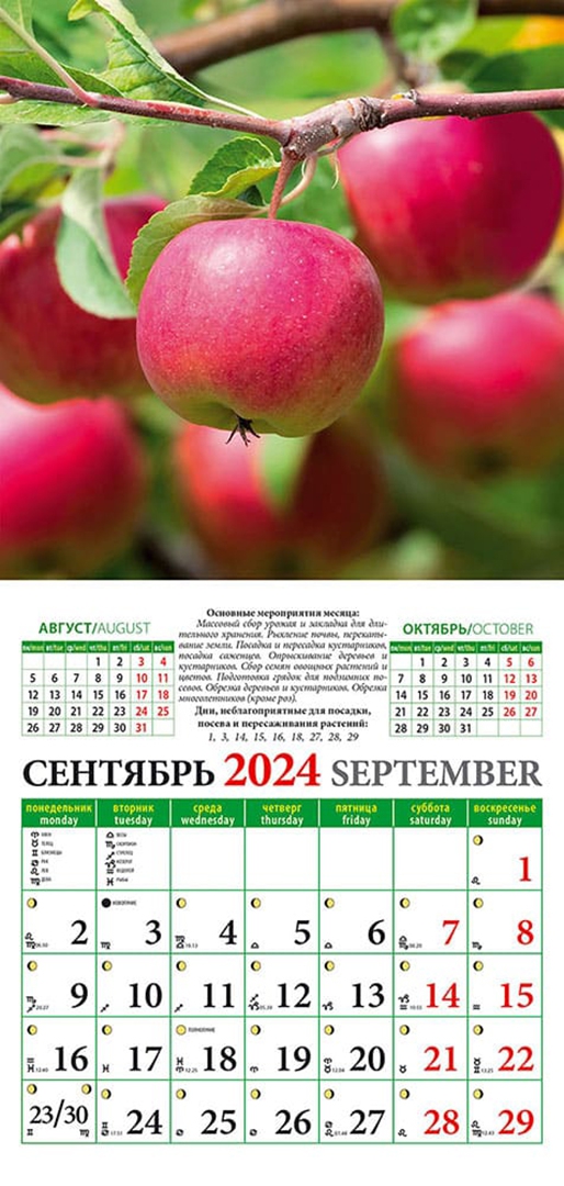 Мир космоса ру лунный календарь сентябрь 2024 "Лунный календарь садовода и огородника на 2024 год" купить ISBN 4603766209685 Л